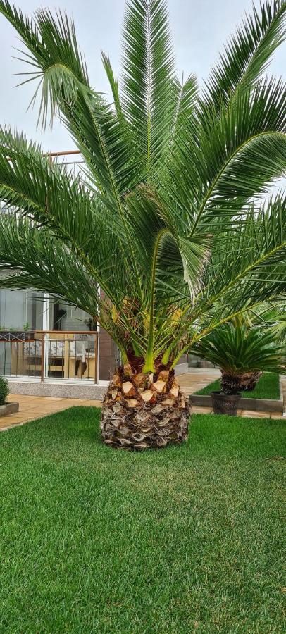 Villa Avdira Paralia Avdhiron Exterior foto